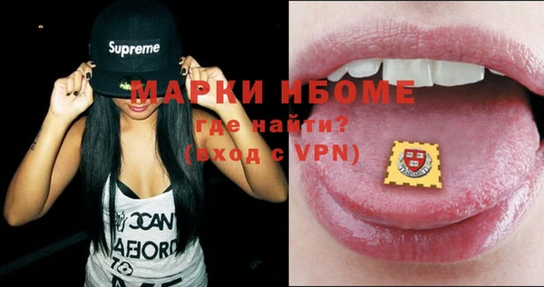 шишки Саяногорск