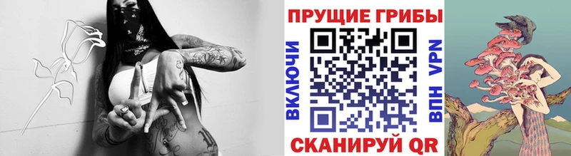 Псилоцибиновые грибы мухоморы  где купить наркотик  Ильский 